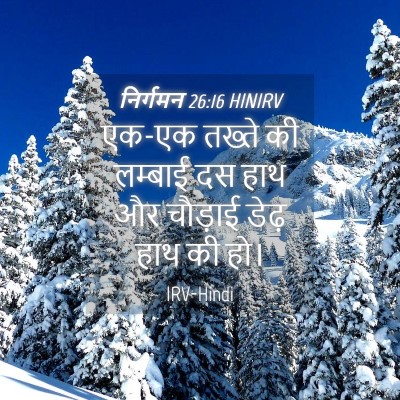 Picture 04 - निर्गमन 26:16 HINIRV - एक-एक तख्ते की - Bible Verse Picture