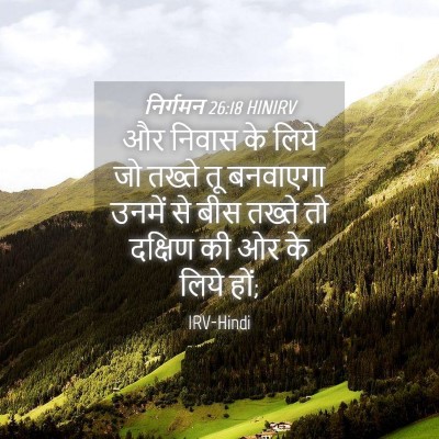 Picture 04 - निर्गमन 26:18 HINIRV - और निवास के लिये जो - Bible Verse Picture