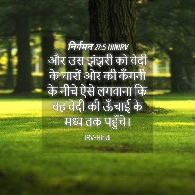 Picture 04 - निर्गमन 27:5 HINIRV - और उस झंझरी को वेदी - Bible Verse Picture