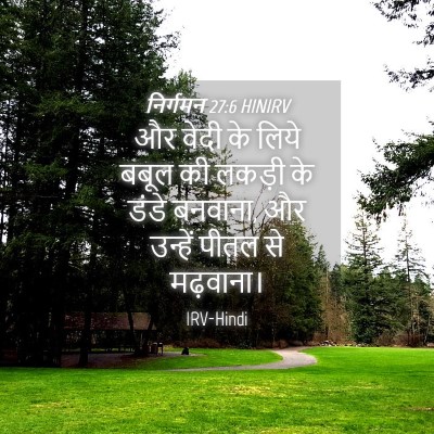 Picture 04 - निर्गमन 27:6 HINIRV - और वेदी के लिये - Bible Verse Picture