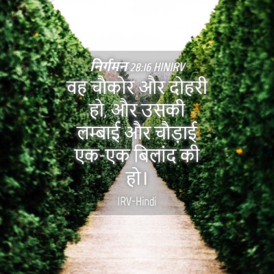 Picture 04 - निर्गमन 28:16 HINIRV - वह चौकोर और दोहरी - Bible Verse Picture