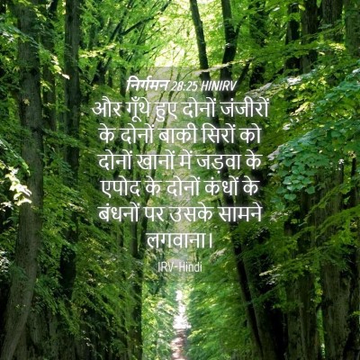 Picture 04 - निर्गमन 28:25 HINIRV - और गूँथे हुए दोनों - Bible Verse Picture