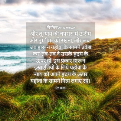 Picture 04 - निर्गमन 28:30 HINIRV - और तू न्याय की - Bible Verse Picture