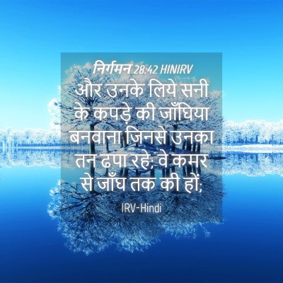 Picture 04 - निर्गमन 28:42 HINIRV - और उनके लिये सनी के - Bible Verse Picture
