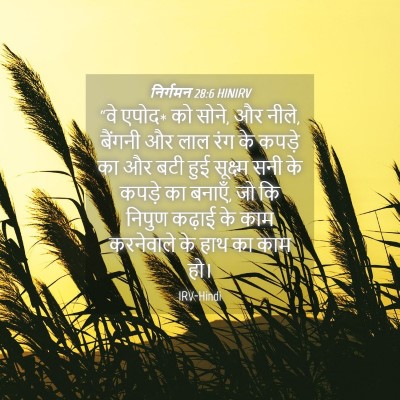 Picture 04 - निर्गमन 28:6 HINIRV - “वे एपोद* को सोने, - Bible Verse Picture