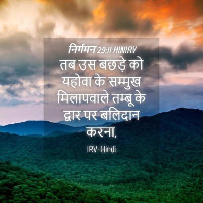 Picture 04 - निर्गमन 29:11 HINIRV - तब उस बछड़े को - Bible Verse Picture