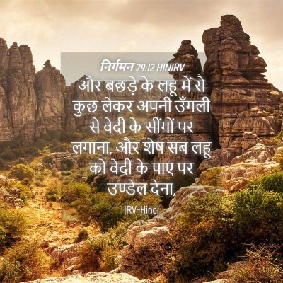Picture 04 - निर्गमन 29:12 HINIRV - और बछड़े के लहू में - Bible Verse Picture