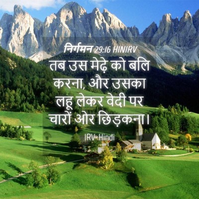 Picture 04 - निर्गमन 29:16 HINIRV - तब उस मेढ़े को बलि - Bible Verse Picture
