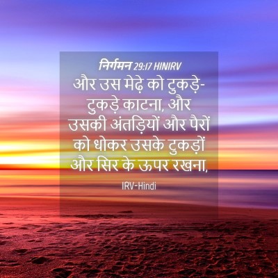 Picture 04 - निर्गमन 29:17 HINIRV - और उस मेढ़े को - Bible Verse Picture