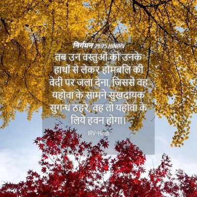 Picture 04 - निर्गमन 29:25 HINIRV - तब उन वस्तुओं को - Bible Verse Picture