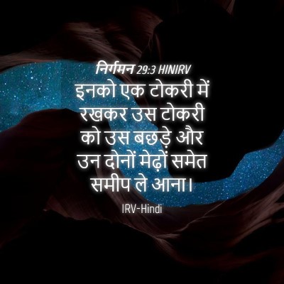 Picture 04 - निर्गमन 29:3 HINIRV - इनको एक टोकरी में - Bible Verse Picture