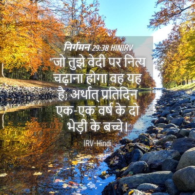 Picture 04 - निर्गमन 29:38 HINIRV - “जो तुझे वेदी पर - Bible Verse Picture