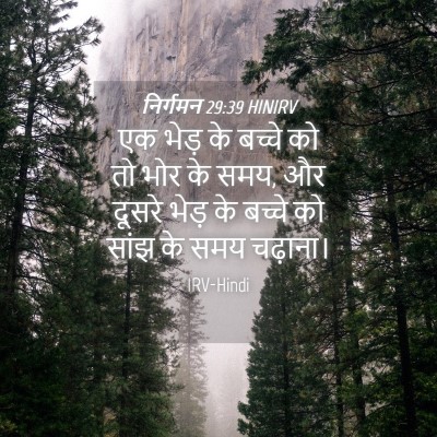Picture 04 - निर्गमन 29:39 HINIRV - एक भेड़ के बच्चे को - Bible Verse Picture