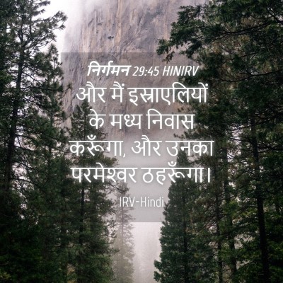 Picture 04 - निर्गमन 29:45 HINIRV - और मैं - Bible Verse Picture