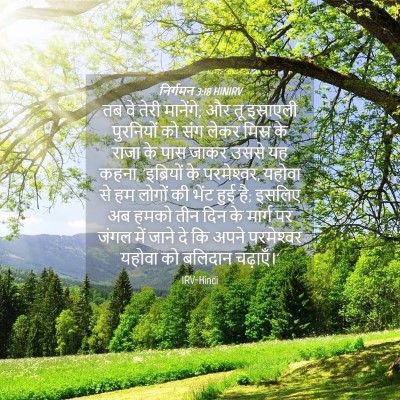 Picture 04 - निर्गमन 3:18 HINIRV - तब वे तेरी मानेंगे; - Bible Verse Picture