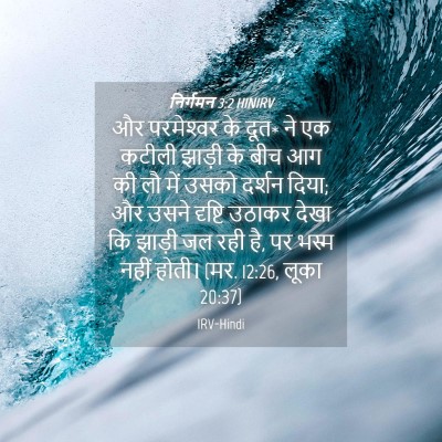 Picture 04 - निर्गमन 3:2 HINIRV - और परमेश्‍वर के - Bible Verse Picture