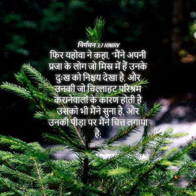 Picture 04 - निर्गमन 3:7 HINIRV - फिर यहोवा ने कहा, - Bible Verse Picture