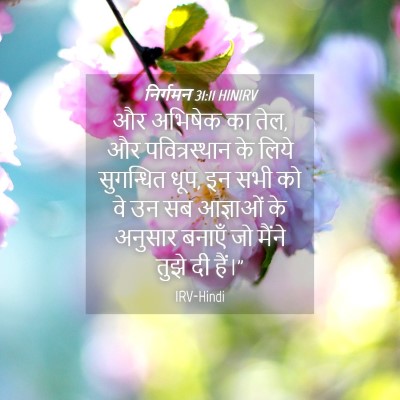 Picture 04 - निर्गमन 31:11 HINIRV - और अभिषेक का तेल, - Bible Verse Picture