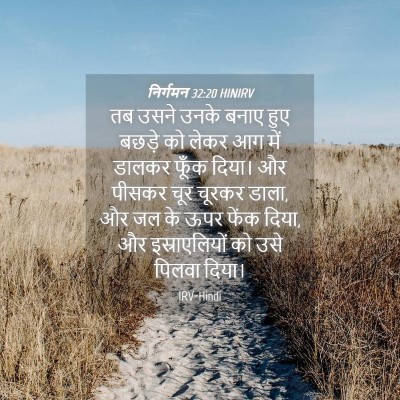Picture 04 - निर्गमन 32:20 HINIRV - तब उसने उनके बनाए - Bible Verse Picture