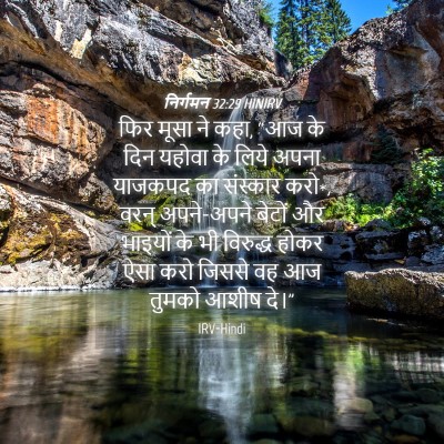 Picture 04 - निर्गमन 32:29 HINIRV - फिर मूसा ने कहा, - Bible Verse Picture