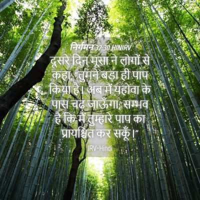 Picture 04 - निर्गमन 32:30 HINIRV - दूसरे दिन मूसा ने - Bible Verse Picture