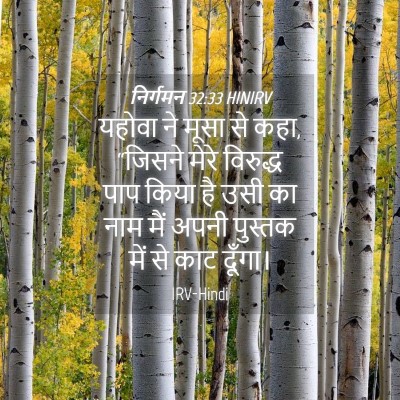 Picture 04 - निर्गमन 32:33 HINIRV - यहोवा ने मूसा से - Bible Verse Picture