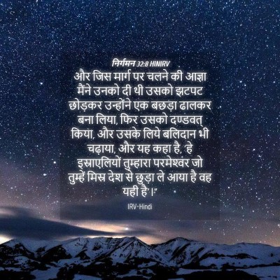 Picture 04 - निर्गमन 32:8 HINIRV - और जिस मार्ग पर - Bible Verse Picture