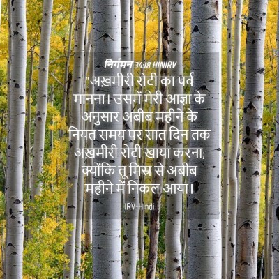 Picture 04 - निर्गमन 34:18 HINIRV - “अख़मीरी रोटी का - Bible Verse Picture