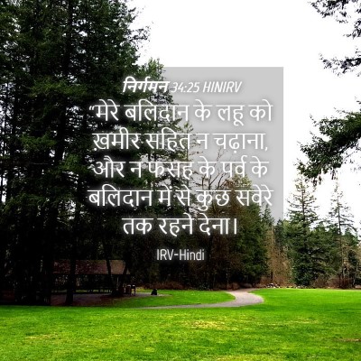 Picture 04 - निर्गमन 34:25 HINIRV - “मेरे बलिदान के - Bible Verse Picture