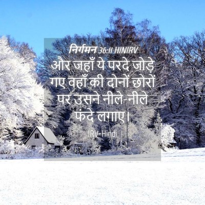 Picture 04 - निर्गमन 36:11 HINIRV - और जहाँ ये परदे - Bible Verse Picture