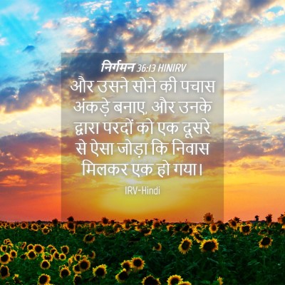 Picture 04 - निर्गमन 36:13 HINIRV - और उसने सोने की - Bible Verse Picture