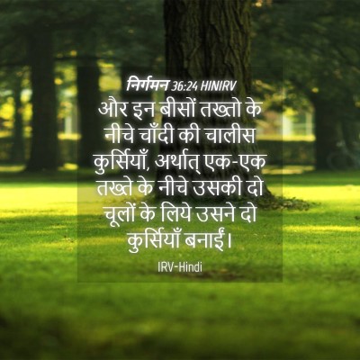 Picture 04 - निर्गमन 36:24 HINIRV - और इन बीसों तख्तो - Bible Verse Picture