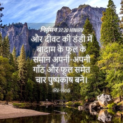Picture 04 - निर्गमन 37:20 HINIRV - और दीवट की डंडी में - Bible Verse Picture