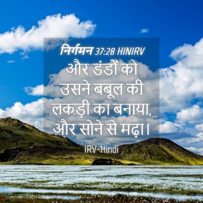 Picture 04 - निर्गमन 37:28 HINIRV - और डंडों को उसने - Bible Verse Picture