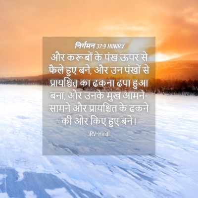 Picture 04 - निर्गमन 37:9 HINIRV - और करूबों के पंख - Bible Verse Picture