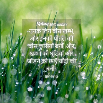 Picture 04 - निर्गमन 38:10 HINIRV - उनके लिये बीस - Bible Verse Picture