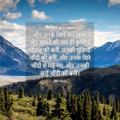 Picture 04 - निर्गमन 38:19 HINIRV - और उनके लिये चार - Bible Verse Picture