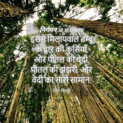 Picture 04 - निर्गमन 38:30 HINIRV - इससे मिलापवाले - Bible Verse Picture