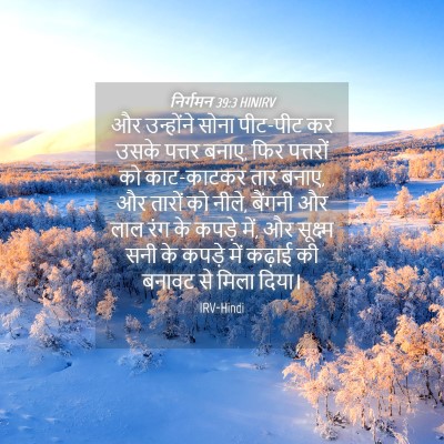 Picture 04 - निर्गमन 39:3 HINIRV - और उन्होंने सोना - Bible Verse Picture