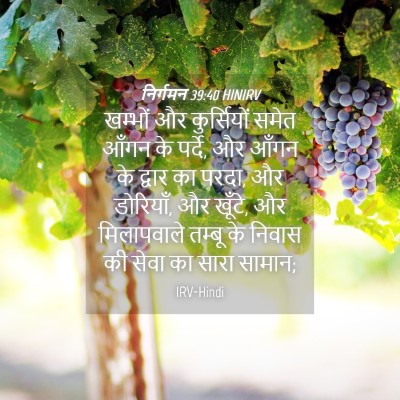 Picture 04 - निर्गमन 39:40 HINIRV - खम्भों और - Bible Verse Picture
