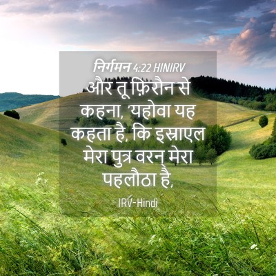 Picture 04 - निर्गमन 4:22 HINIRV - और तू फ़िरौन से - Bible Verse Picture
