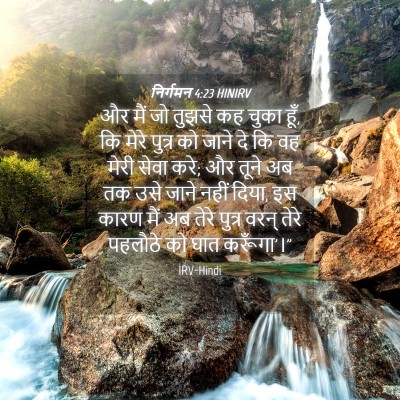 Picture 04 - निर्गमन 4:23 HINIRV - और मैं जो तुझसे कह - Bible Verse Picture