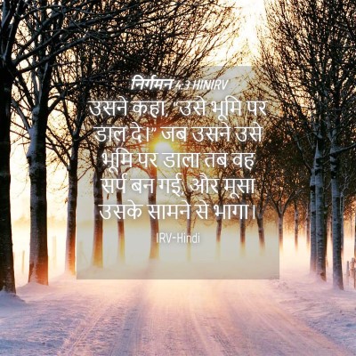 Picture 04 - निर्गमन 4:3 HINIRV - उसने कहा, “उसे भूमि - Bible Verse Picture