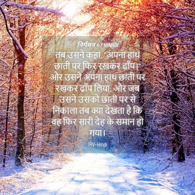 Picture 04 - निर्गमन 4:7 HINIRV - तब उसने कहा, “अपना - Bible Verse Picture
