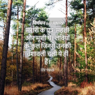 Picture 04 - निर्गमन 6:19 HINIRV - मरारी के पुत्र: - Bible Verse Picture