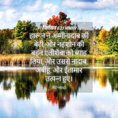 Picture 04 - निर्गमन 6:23 HINIRV - हारून ने - Bible Verse Picture