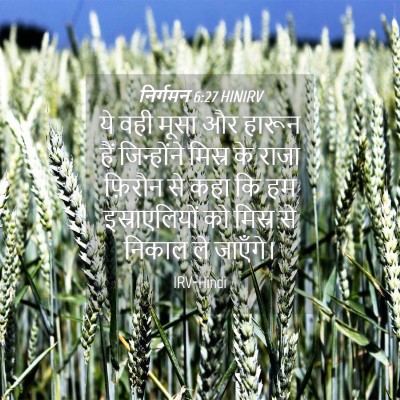Picture 04 - निर्गमन 6:27 HINIRV - ये वही मूसा और - Bible Verse Picture