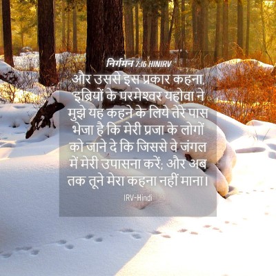 Picture 04 - निर्गमन 7:16 HINIRV - और उससे इस प्रकार - Bible Verse Picture