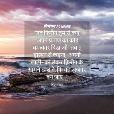 Picture 04 - निर्गमन 7:9 HINIRV - “जब फ़िरौन तुम से - Bible Verse Picture