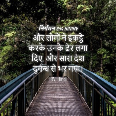 Picture 04 - निर्गमन 8:14 HINIRV - और लोगों ने इकट्ठे - Bible Verse Picture
